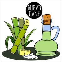 leaves of tropical sugarcane, stem. handful of brown sugar, sucrose, bottle of sweet cane juice with cork. sugarcane production vector