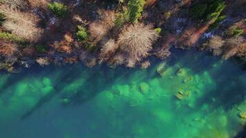 crestasee lago esmeralda cores com árvores em a bancos do a suíço lago video
