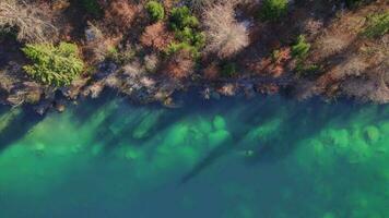 crestasee Lac émeraude couleurs avec des arbres sur le banques de le Suisse Lac video