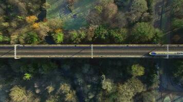 snabb pendlare tåg godkänd över en viadukt fåglar öga se video