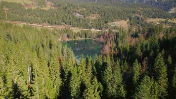 aéreo ver de Crestasee lago en Suiza durante el temprano Mañana video