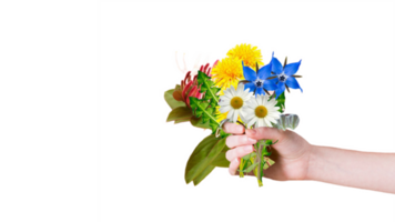 bellissimo fiori nel mano png alto qualità