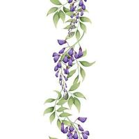 Vertical seamless border with purple wisteria. Asian plants. Botanical flower illustration for wedding design, wallpaper, advertising. vector