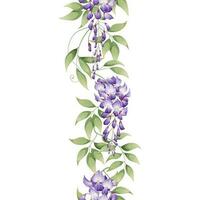Vertical seamless border with purple wisteria. Asian plants. Botanical flower illustration for wedding design, wallpaper, advertising. vector