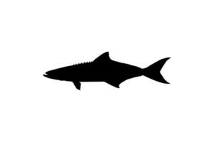 cobia pescado silueta, además conocido como negro pez real, negro salmón, abadejo, pez limón, cangrejero, pródigo hijo, bacalao, y negro bonito. vector ilustración