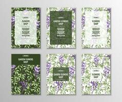 Set of flyer templates for poster, invitations with purple wisteria. A4 size background. vector