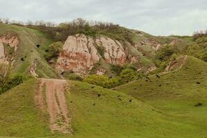 Red Ravine in Sebes Alba caught from different angles during a rainy day photo