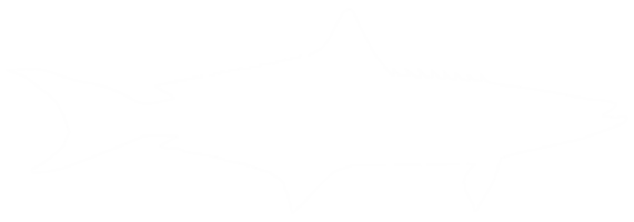 Cobia Fish Silhouette, also known as black kingfish, black salmon, ling, lemonfish, crabeater, prodigal son, codfish, and black bonito. Format PNG