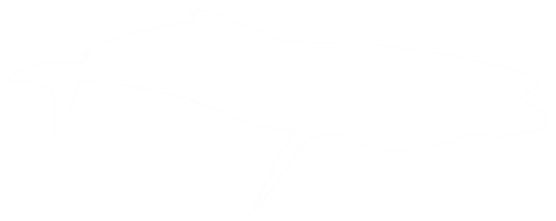 Cobia Fish Silhouette, also known as black kingfish, black salmon, ling, lemonfish, crabeater, prodigal son, codfish, and black bonito. Format PNG