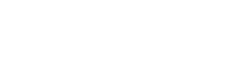 cobia vis silhouet, ook bekend net zo zwart koningsvis, zwart Zalm, leng, citroenvis, krabbeneter, verloren zoon, kabeljauw, en zwart bonito. formaat PNG
