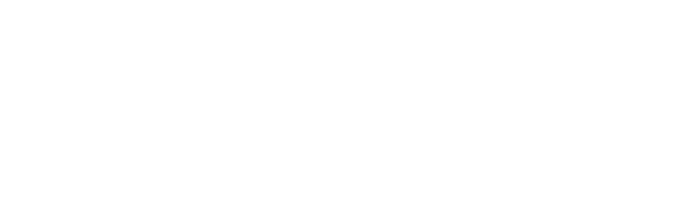 Cobia Fish Silhouette, also known as black kingfish, black salmon, ling, lemonfish, crabeater, prodigal son, codfish, and black bonito. Format PNG