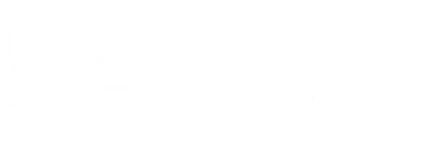 Cobia Fisch Silhouette, ebenfalls bekannt wie schwarz Königsfisch, schwarz Lachs, Ling, Zitronenfisch, Krabbenfresser, verschwenderisch Sohn, Kabeljau, und schwarz Bonito. Format png