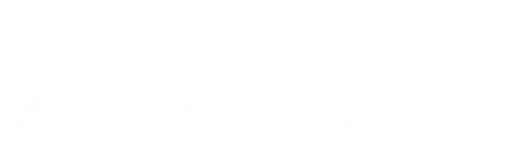 Cobia Fisch Silhouette, ebenfalls bekannt wie schwarz Königsfisch, schwarz Lachs, Ling, Zitronenfisch, Krabbenfresser, verschwenderisch Sohn, Kabeljau, und schwarz Bonito. Format png