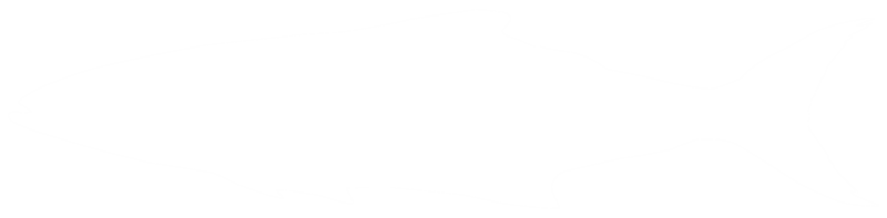 Cobia Fisch Silhouette, ebenfalls bekannt wie schwarz Königsfisch, schwarz Lachs, Ling, Zitronenfisch, Krabbenfresser, verschwenderisch Sohn, Kabeljau, und schwarz Bonito. Format png