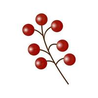 Red Berry Branch On White Background. vector