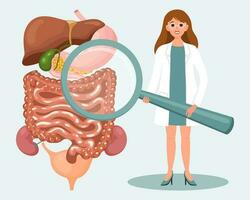 Female doctor with magnifying glass and human digestive system. Online medical diagnostics and consultations, healthcare concept. Illustration, vector