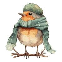 Watercolor Cute Robin Bird With Cotton Hat and Scarf vector