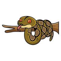 Cute reticulatus python cartoon on tree branch vector