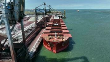 masse transporteur navire déchargement cargaison par grue pour En traitement video