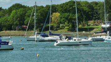 Yachten, Boote und Schiffe auf ein Fluss im das Sommer- video