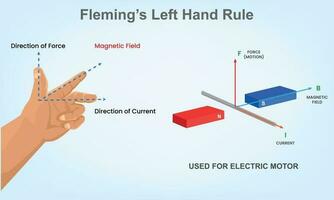flamenco izquierda mano regla en física flhr vector