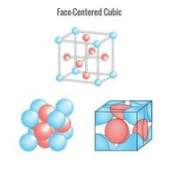 cara centrado cubo sistema en sólido estado cristal estructura vector