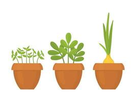 Set of seedlings in a pot.. Vector set of isolated illustrations of seedlings. Growing plants in a pot.