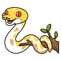 Cute amelanistic reticulated python cartoon on tree branch vector