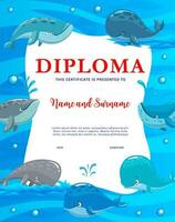 Kids diploma, cartoon cachalots, blue sperm whales vector