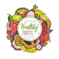 Exopic fruits round banner, vector sketch frame