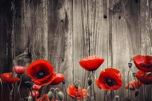 Red poppies as a symbol of memory for the fallen in the war. VE-Day, World War remembrance day. illustration photo