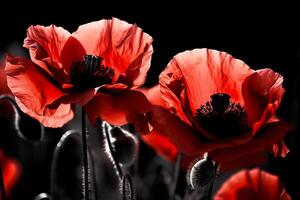 rojo amapolas como un símbolo de memoria para el caído en el guerra. cinco días, mundo guerra remembranza día. generativo ai ilustración foto