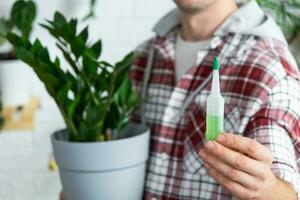 Drip fertilizer for potted plants zamiokulkas, stimulator of development, growth acceleration, home plant care. A bottle of liquid is inserted in the hand of man. Home crop production photo