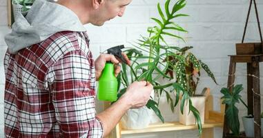 hombre planta criador examina y admira hogar plantas en un maceta, buscar para plagas, cuidado, riego, fertilizantes, trata desde plagas hogar cosecha producción foto