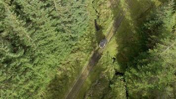 Canal de televisión británico todas terreno vehículo conducción mediante un bosque video