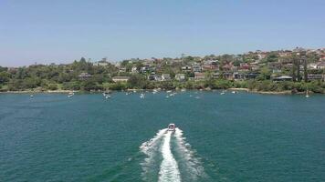 snabb motorbåt rubrik mot mjölk strand i sydney hamn förorter video