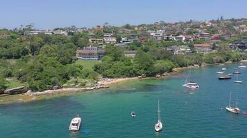 Leche playa un popular nadando Mancha en Sydney puerto durante el verano video