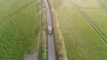 Aerial View of a Luxury SUV Driving Through a Country Lane in the Evening video