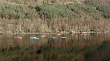 un' squadra di canoisti attraversando un' lago nel il presto mattina video