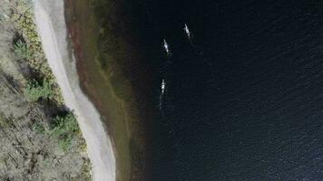 des oiseaux œil vue de canoéistes dans une Lac video