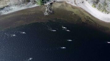 Bird's Eye View of Canoeists in a Lake video