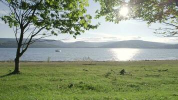 Looking Out From an Orchard to a Secluded Bay video