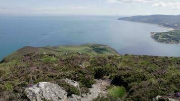 el hermosa paisaje y puntos de vista desde el cumbre de el santo isla en Escocia video