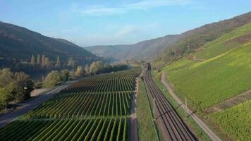 Freight Train Travelling Through the Countryside video