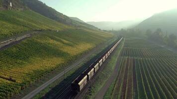 Freight Train Travelling Through the Countryside video