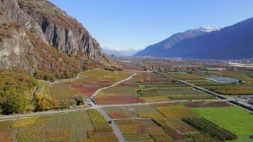 das Wallis Wein Region im Schweiz Antenne Aussicht video