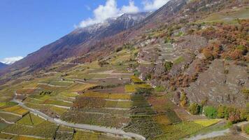 das Wallis Wein Region im Schweiz Antenne Aussicht video