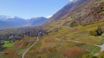 valaisan du vin Région la suisse le plus grand vignoble et du vin production zone video