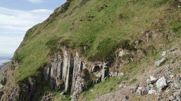 Wild Soay Sheep Grazing on the Side of a Grassy Mountain video