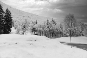 invierno paisaje en Escandinavia. con nieve cubierto arboles en un montaña. paisaje foto